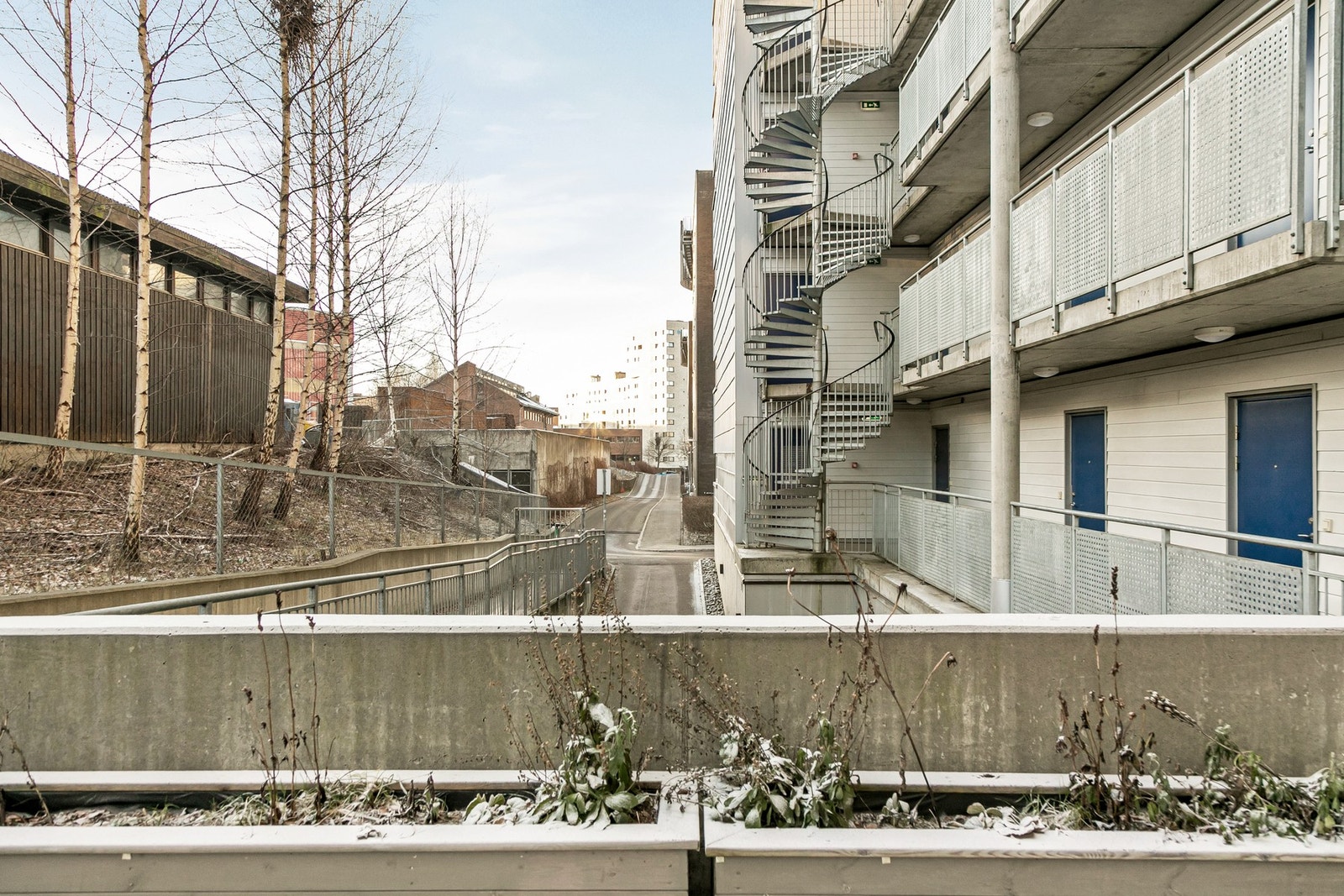 Fellesarealer. Galleribilde