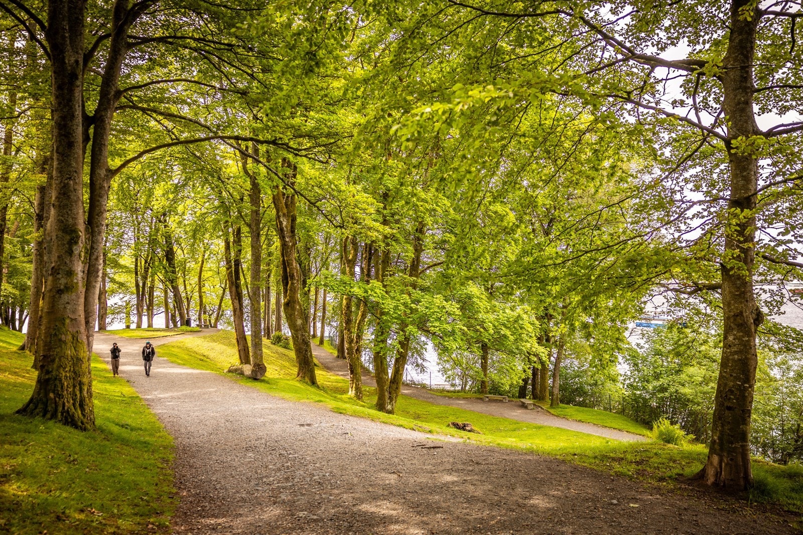 På varme sommerdager frister Nordnesparken og Nordnes sjøbad, som ligger like i nærheten. Galleribilde