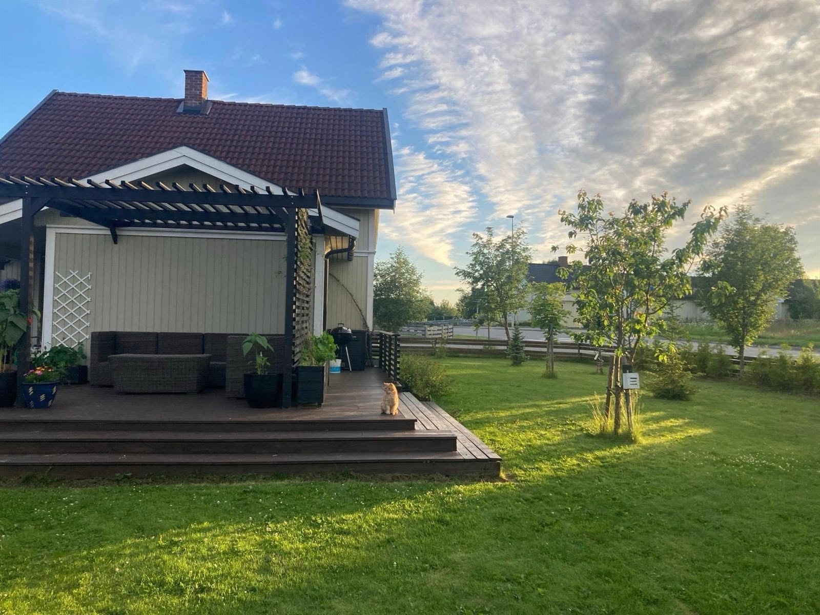 Sommerbilde tatt av selger Galleribilde