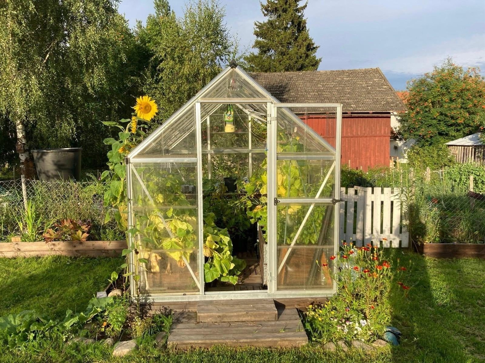 Sommerbilde tatt av selger Galleribilde