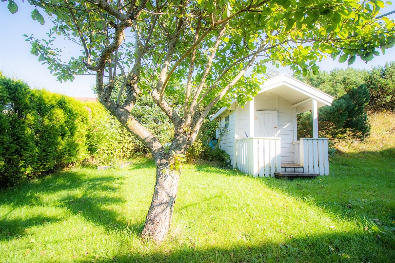 Privat bilde. Galleribilde