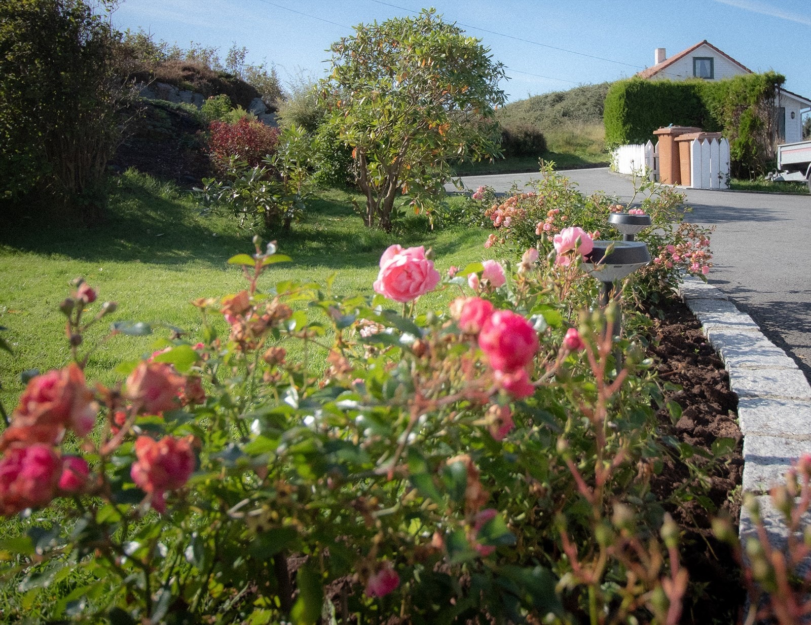 Privat bilde. Galleribilde