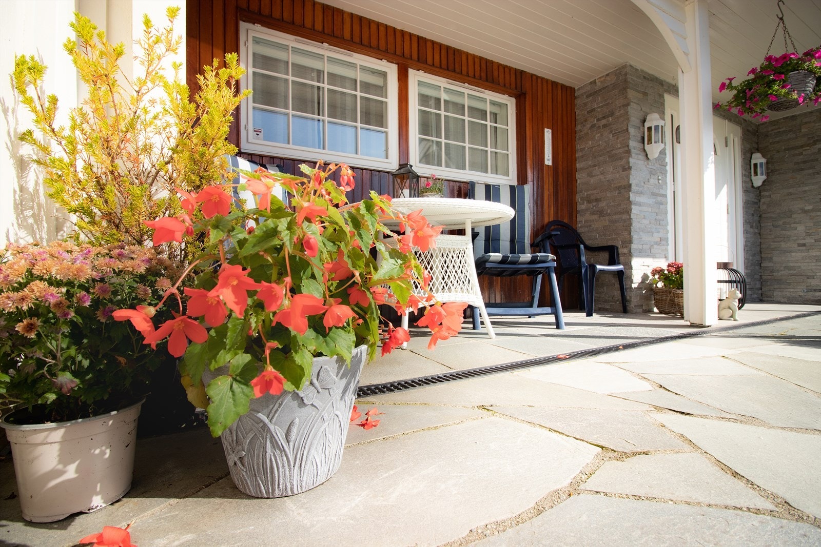 Privat bilde. Galleribilde