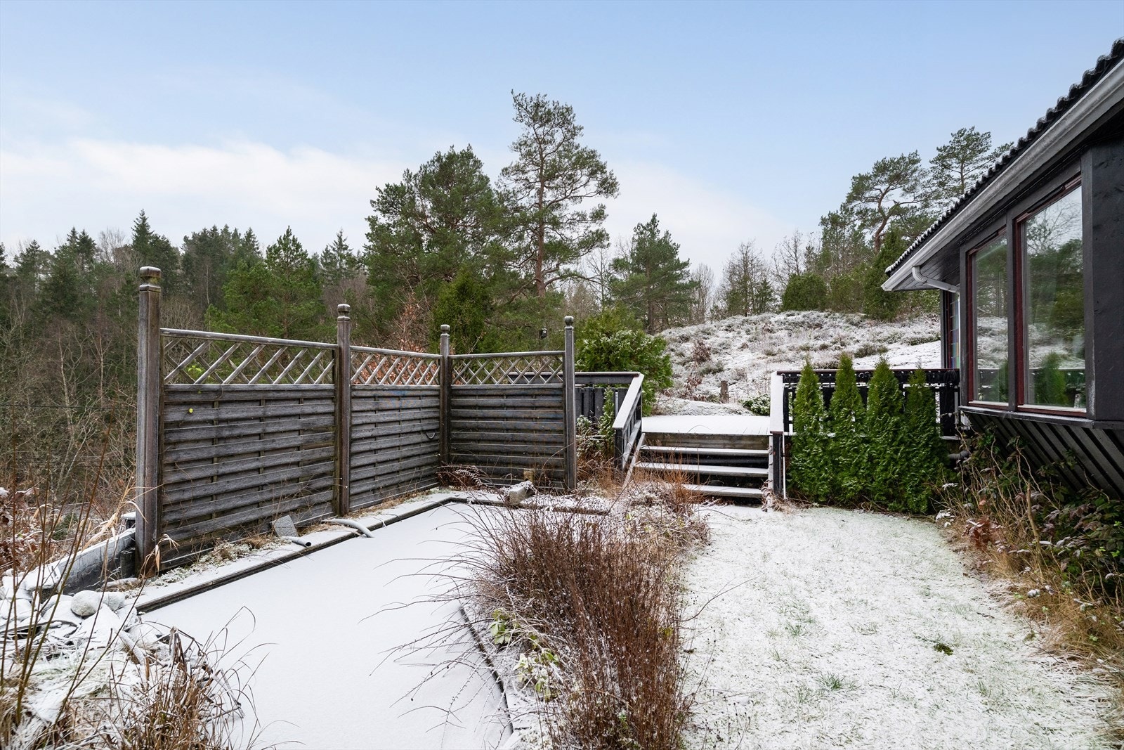 Del av hagen Galleribilde