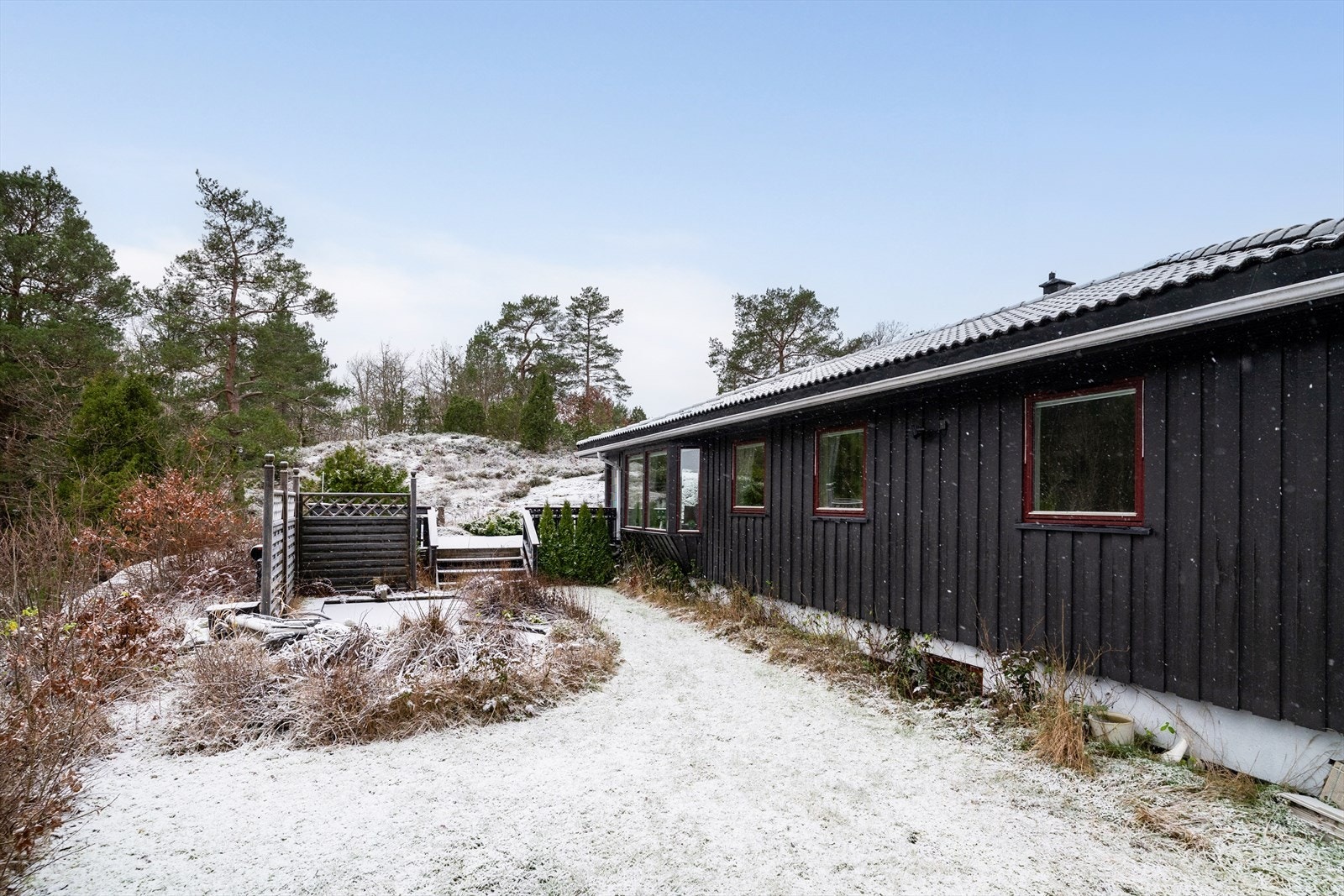 Del av hagen Galleribilde