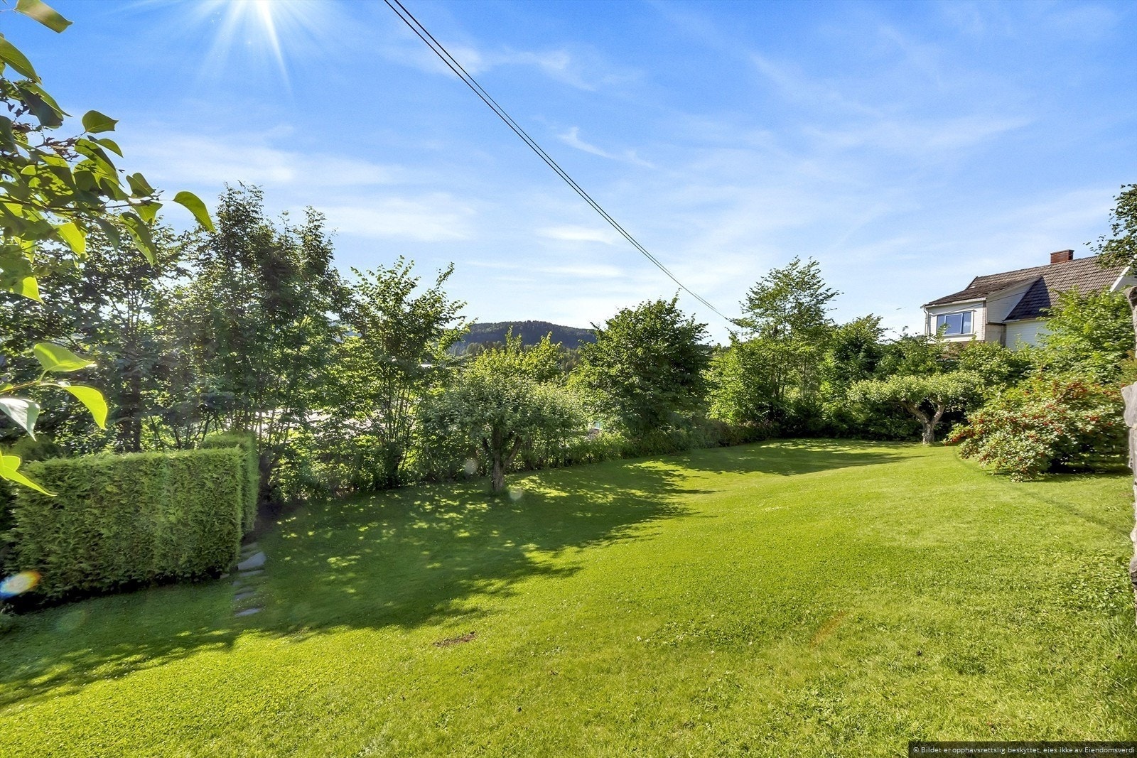 Hagen på nedsiden av huset. Galleribilde