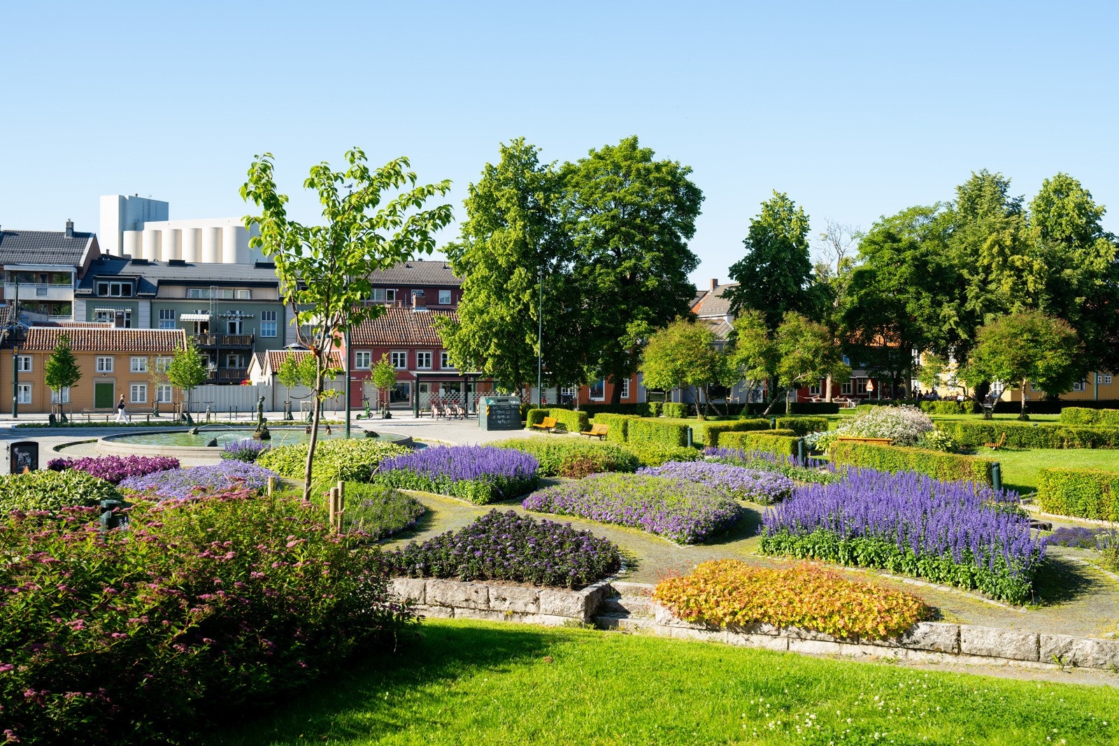Midt i bydelen ligger Ilaparken, en frodig grønn lunge som knytter de ulike delene av Ila sammen. Galleribilde