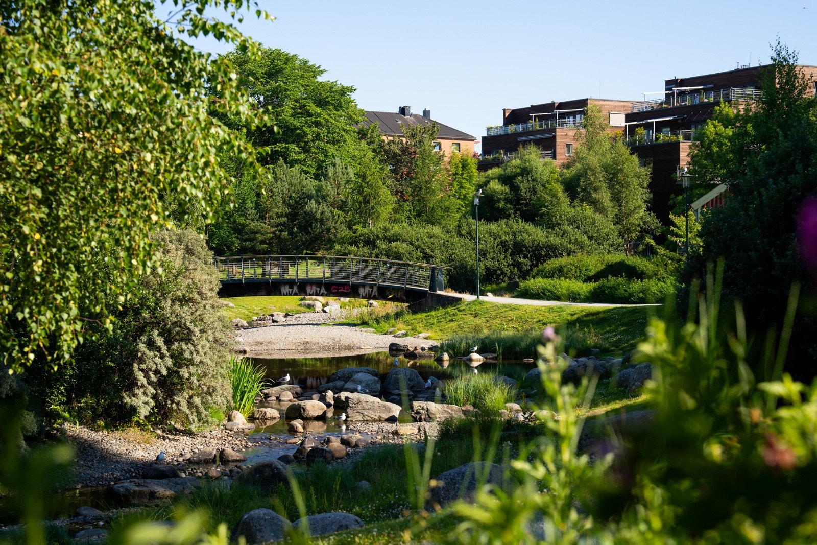 Iladalen park er en stor og frodig grønnpark etablert i 2006-2008 rundt gjenåpnet Ilabekken, med dam, rekreasjonsområder og stier som knytter marka og fjorden sammen. Galleribilde