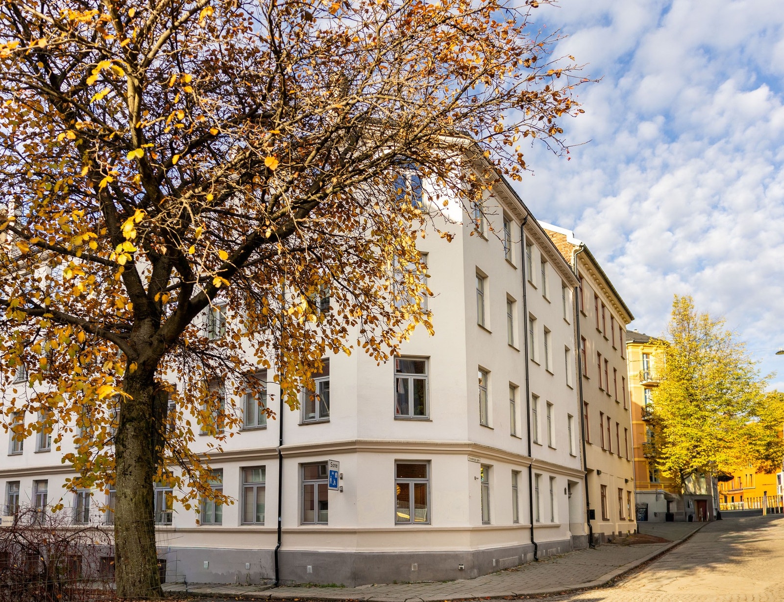 Husk visningspåmelding! Galleribilde