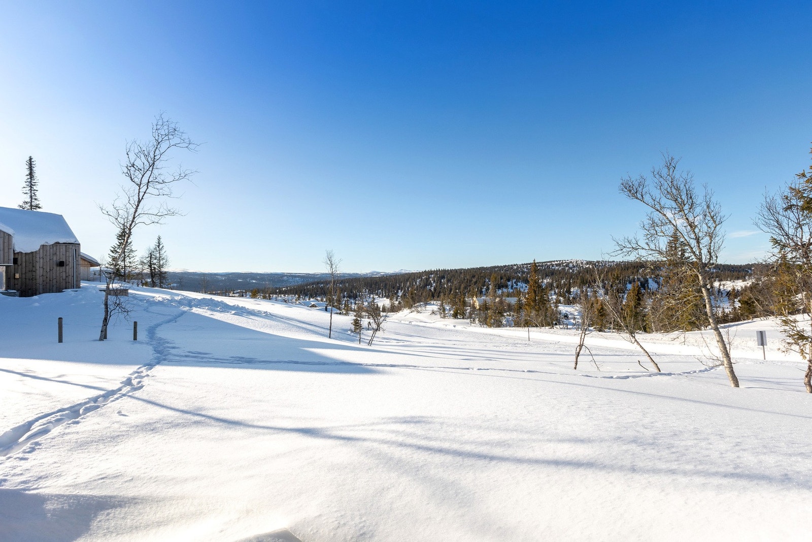 Fantastisk utsikt over den vakre fjellheimen Galleribilde