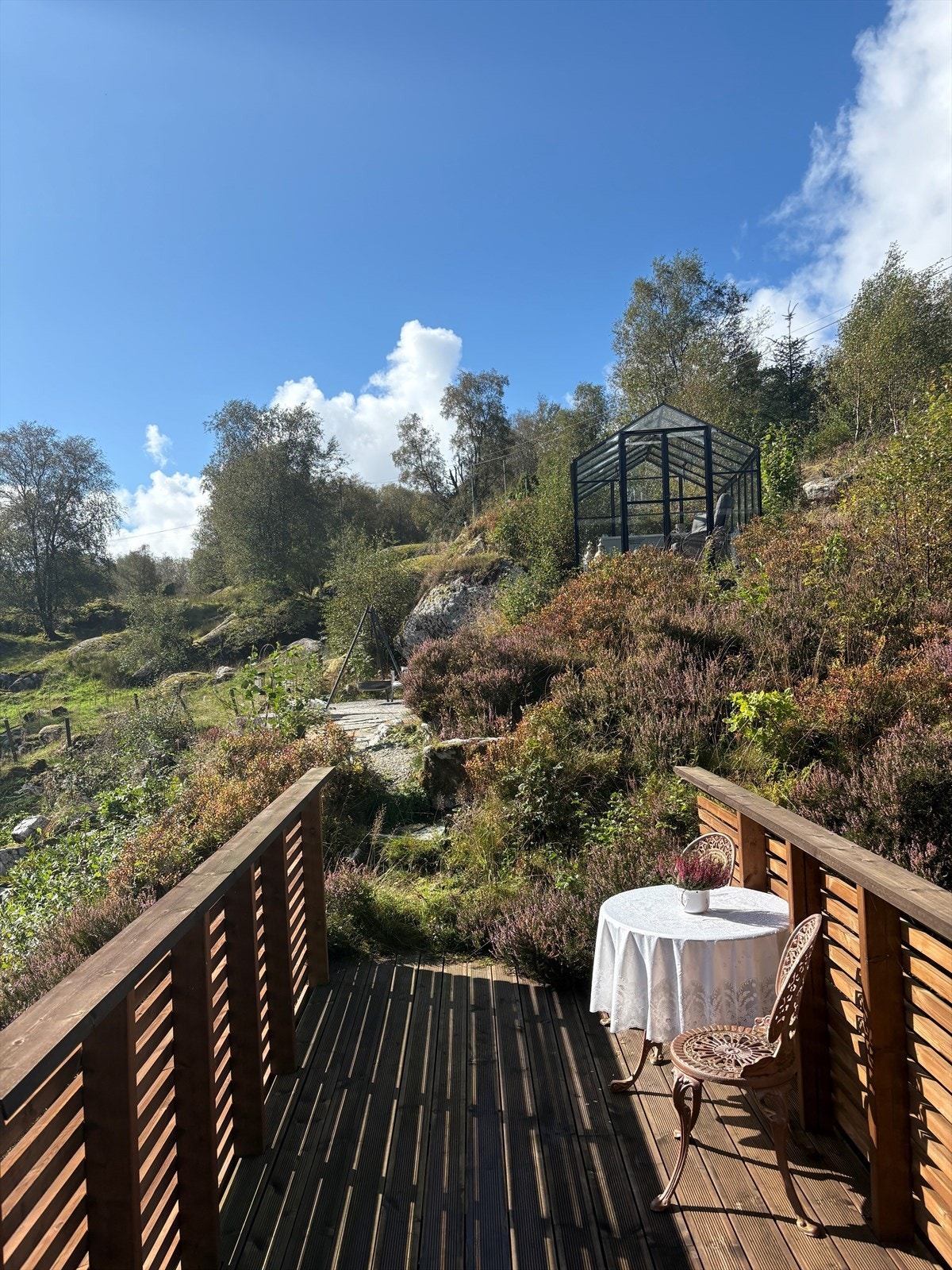 Gang fra kjøkkendel opp til drivhus, agurker, tomater og det som er Galleribilde