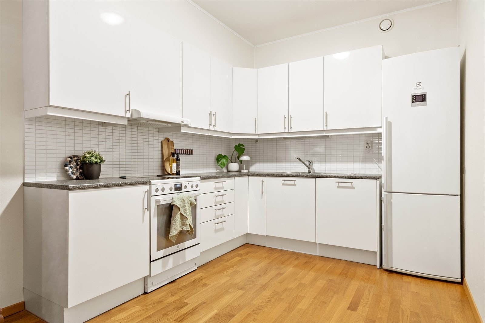 I følge ordensreglene er det tillatt med dyr i borettslaget under forutsetning av at andelseier aksepterer borettslagets regler for dyrehold. Galleribilde