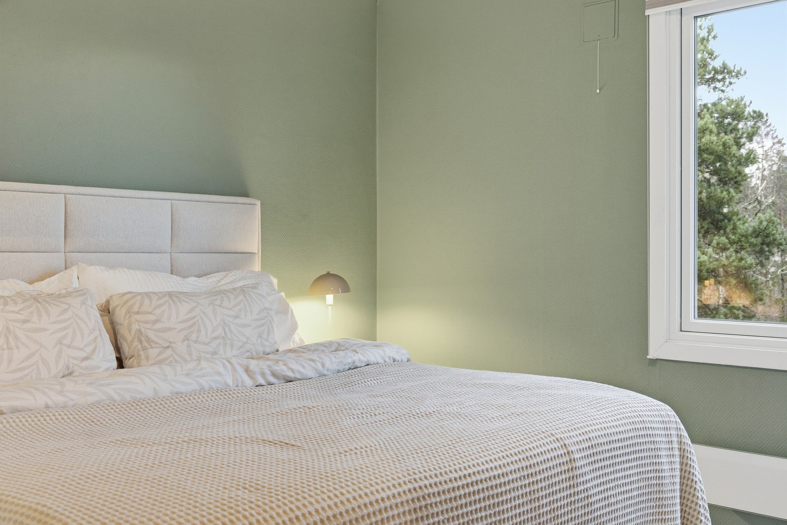 Detaljbilde. Galleribilde