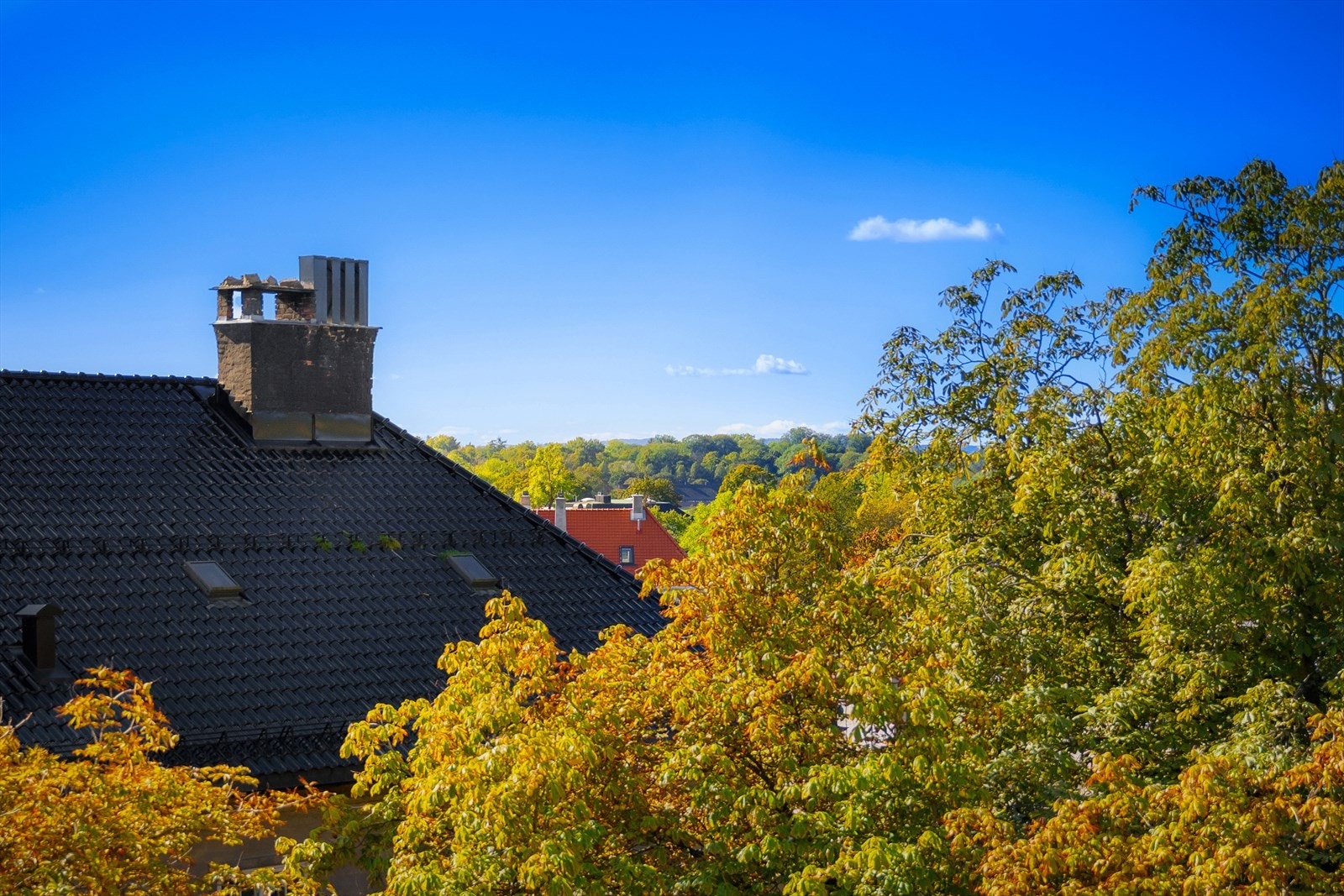 Utsyn over nabolagets ærverdige bebyggelse Galleribilde