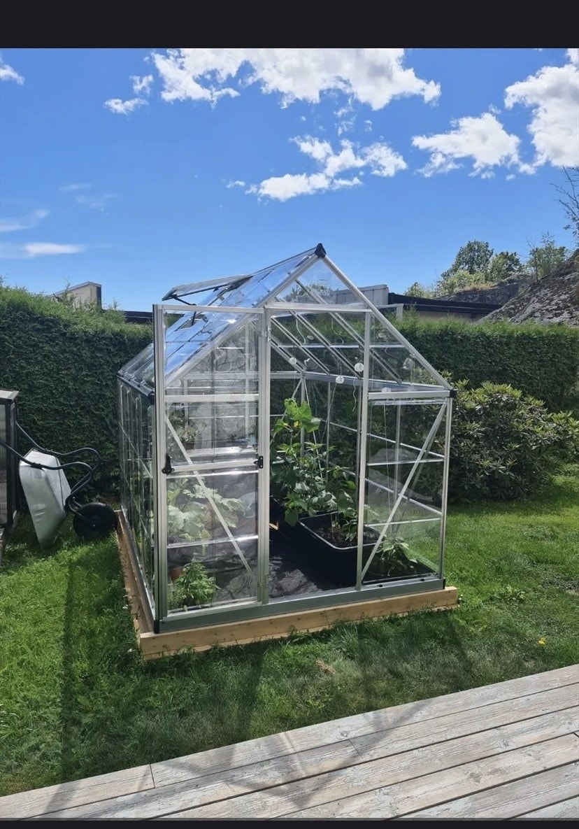 Sommerbilde av hage Galleribilde