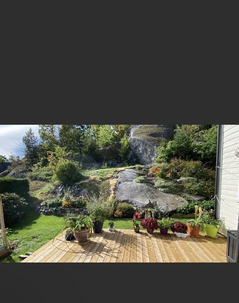 Sommerbilde av hage Galleribilde