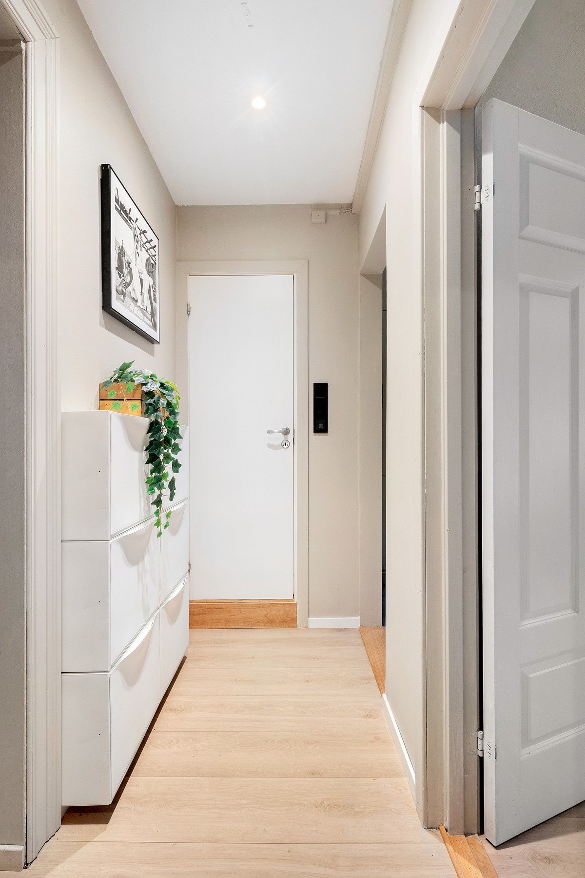 Romslig entre med plass til lagring. Galleribilde