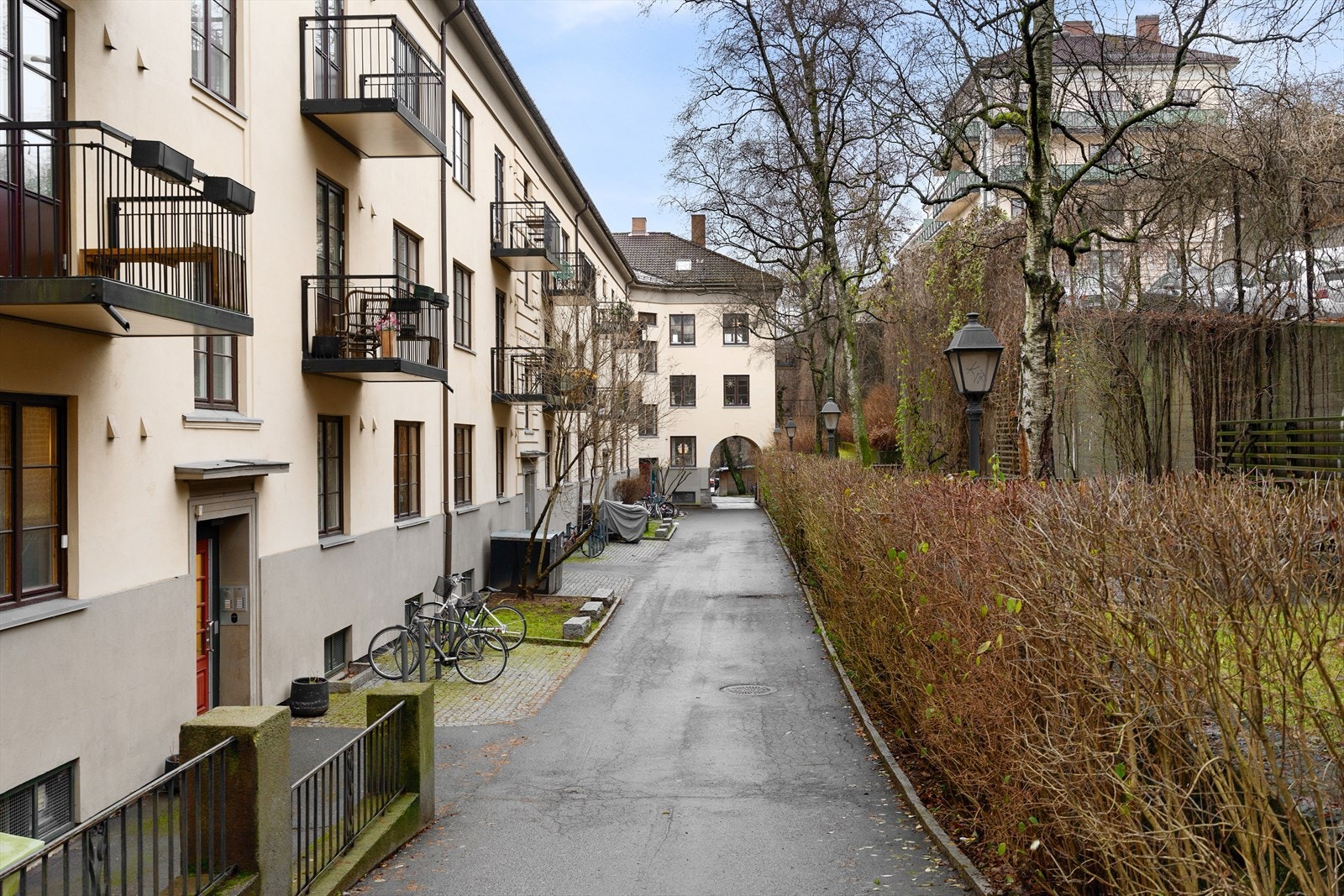 Flott bakgård med busker, trær og annen beplantning. Galleribilde