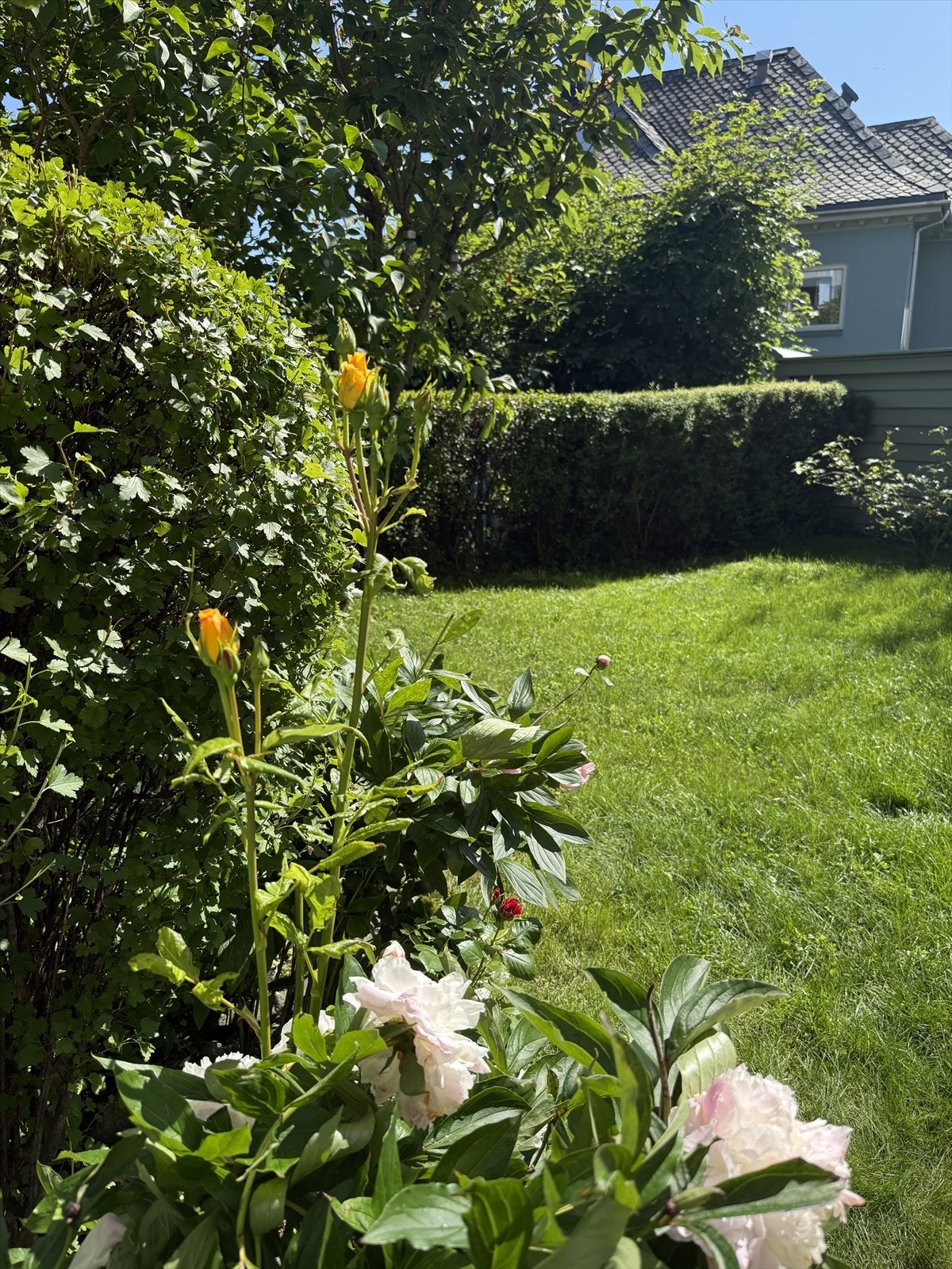 Den trivelige hagen en herlig forlengelse av stuen på varme sommerdager Galleribilde