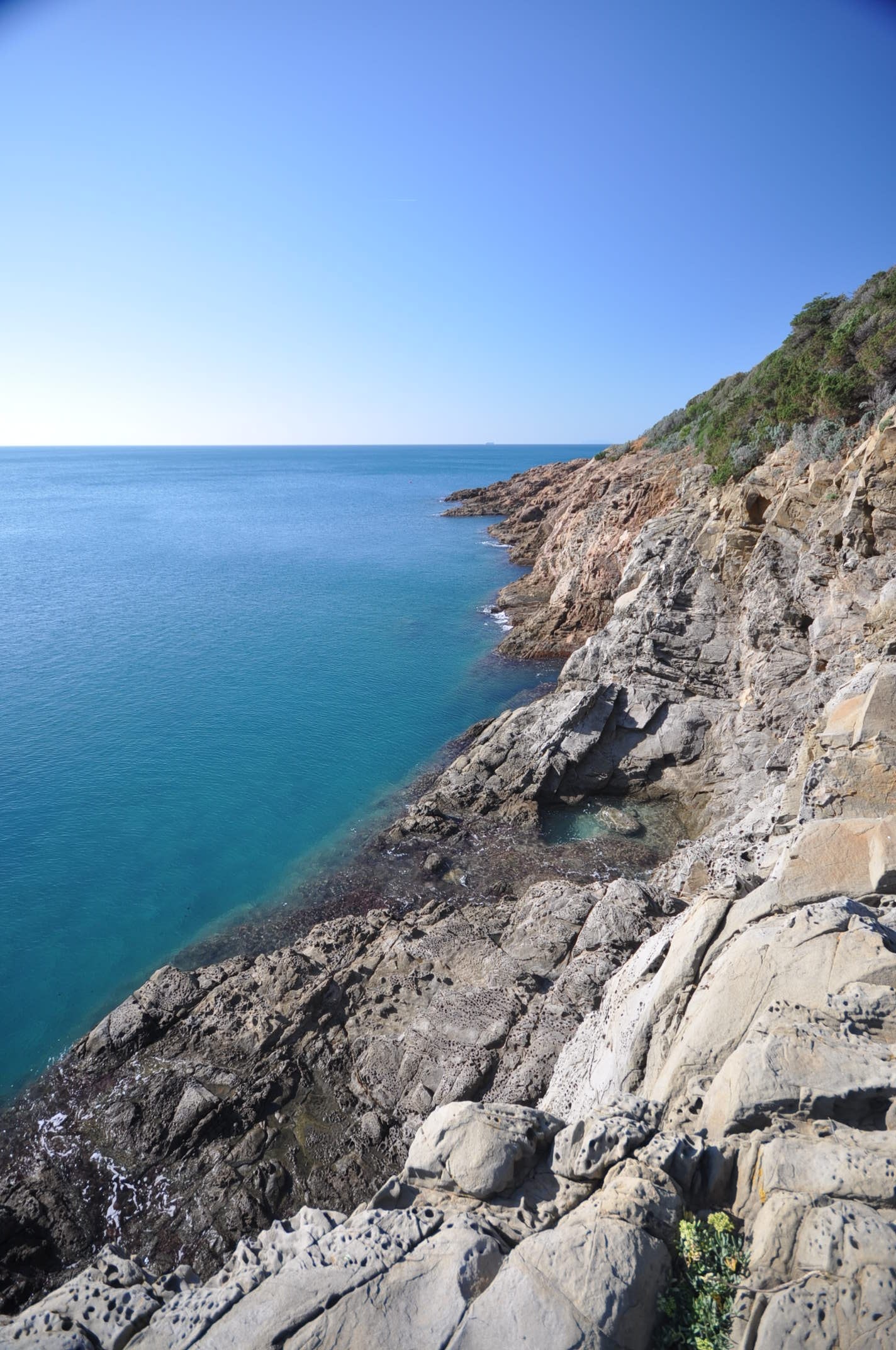 Kysten her Galleribilde