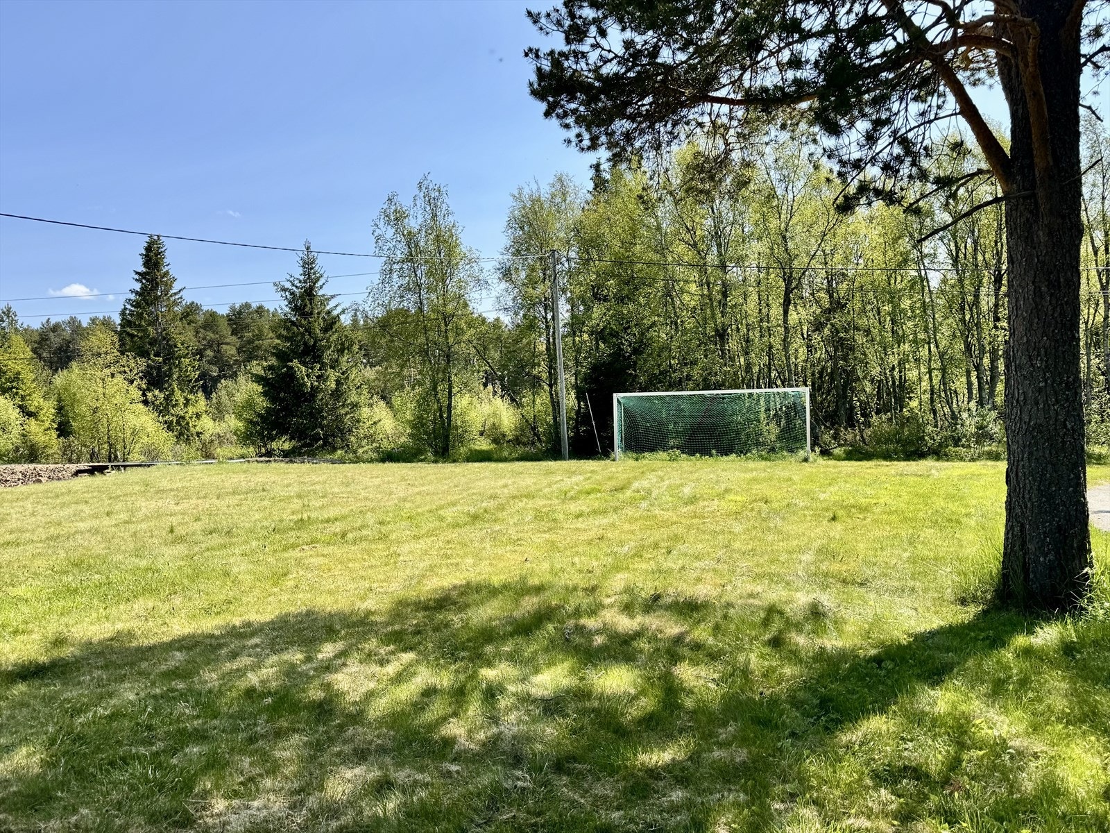 Flotte områdere for både små og store rett ved hytta. Galleribilde
