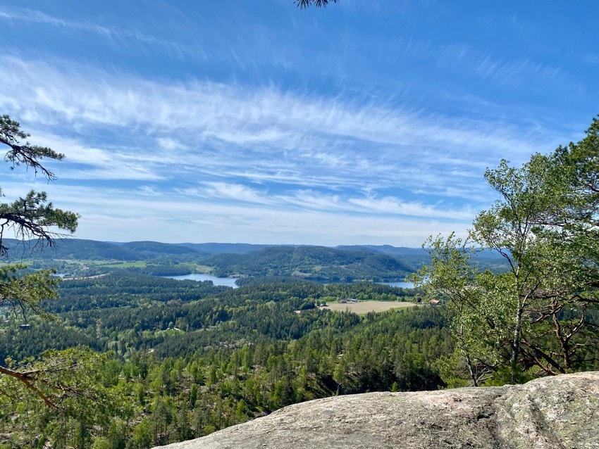 Nærmiljø: Fantekjerringkollen utsikt Galleribilde