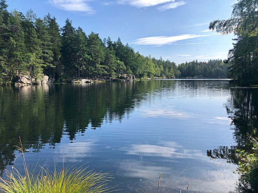 Nærmiljø: Åletjern Galleribilde