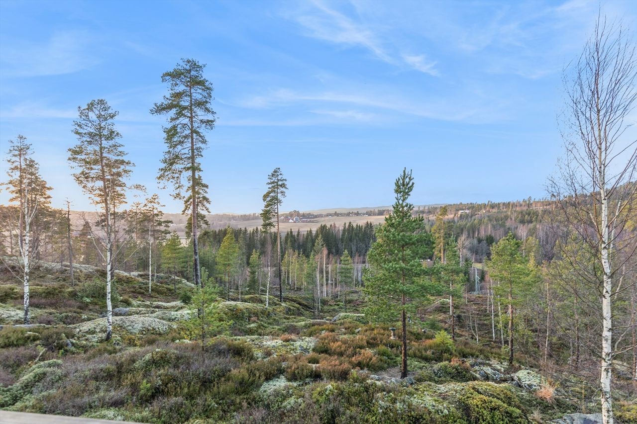 Utsikt mot vest. Galleribilde