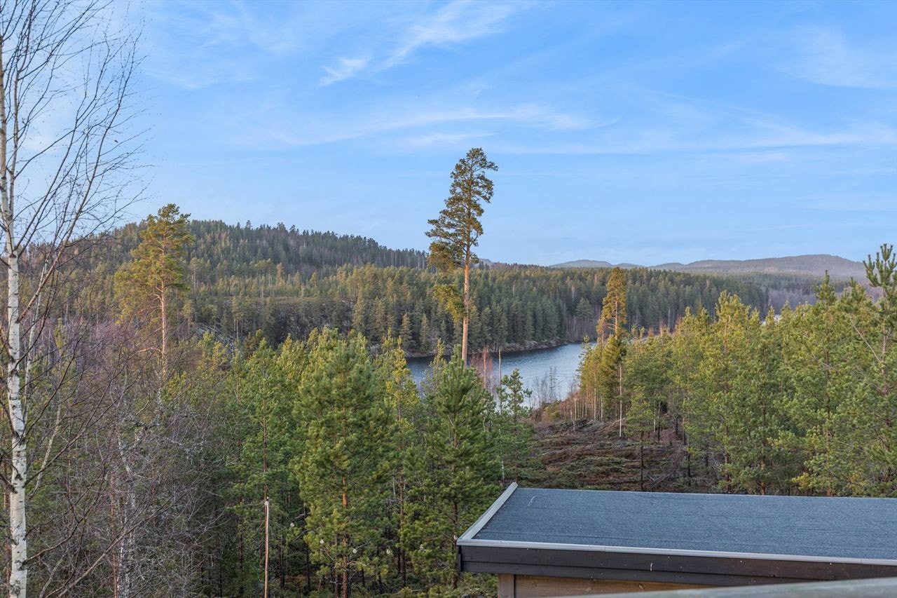 Fra terrassen har du fin utsikt over landskapet og Hesbølsjøen mot nord. Galleribilde