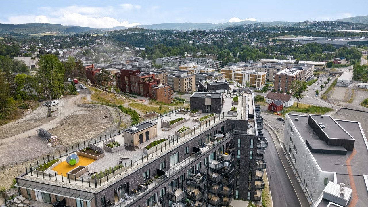 Dronebilde av området. Galleribilde