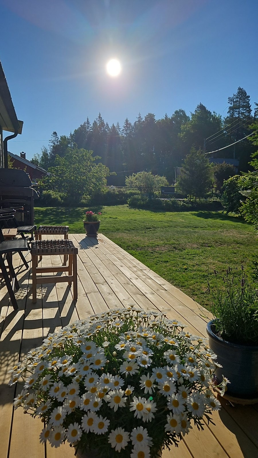 *Selgers eget sommerbilde Galleribilde