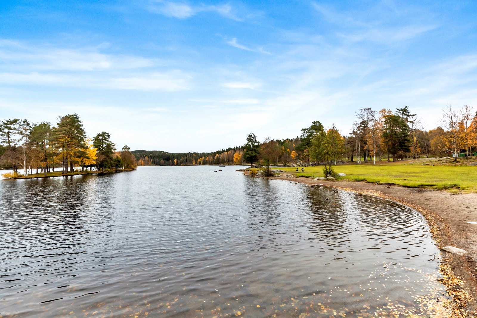 Eiendommens tilknytning til marka byr på mulighet for utallige turopplevelser, både til fots om sommeren, og på ski om vinteren. Galleribilde