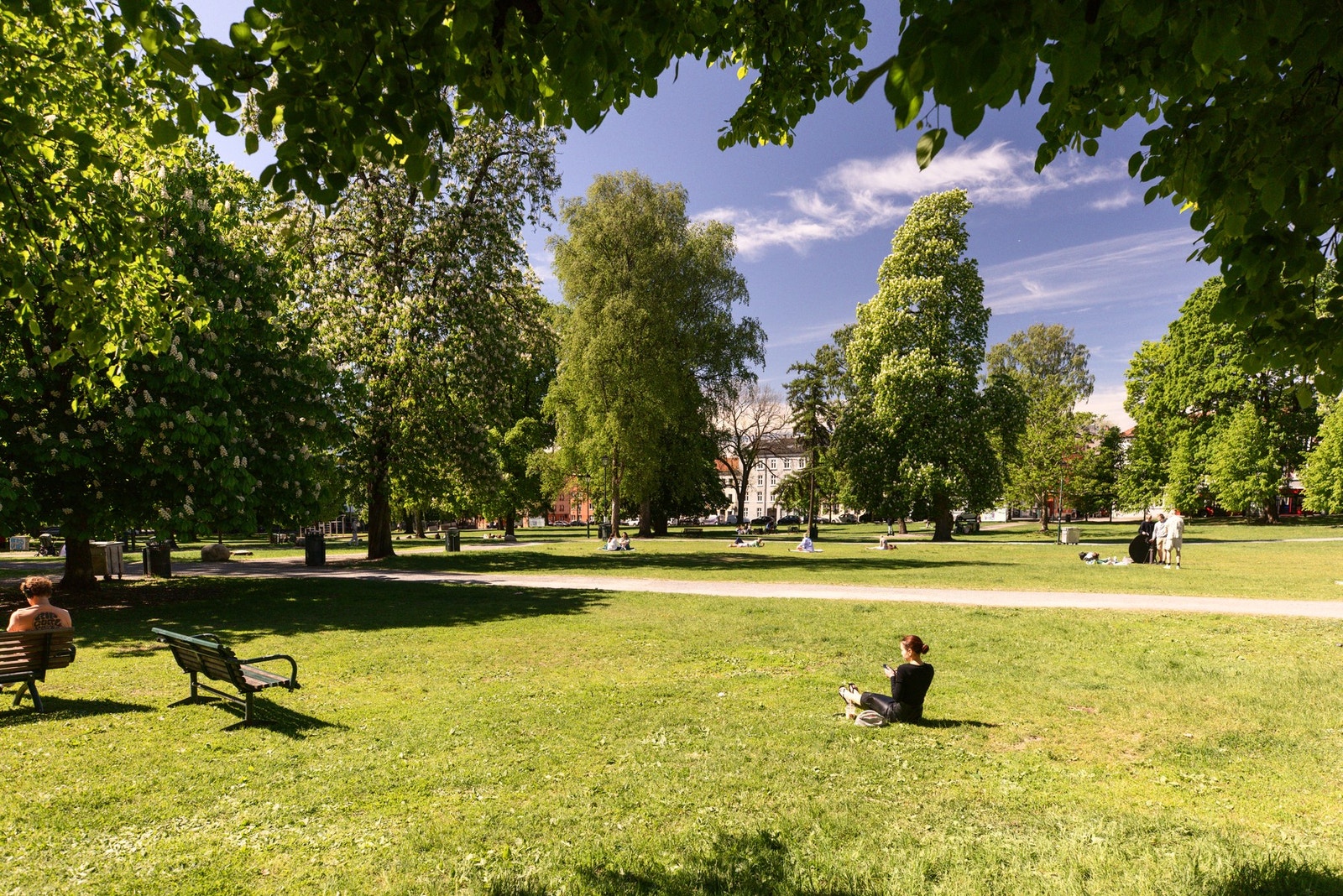 Nydelige Sofienbergparken er en av flere store grøntområder i området. Galleribilde