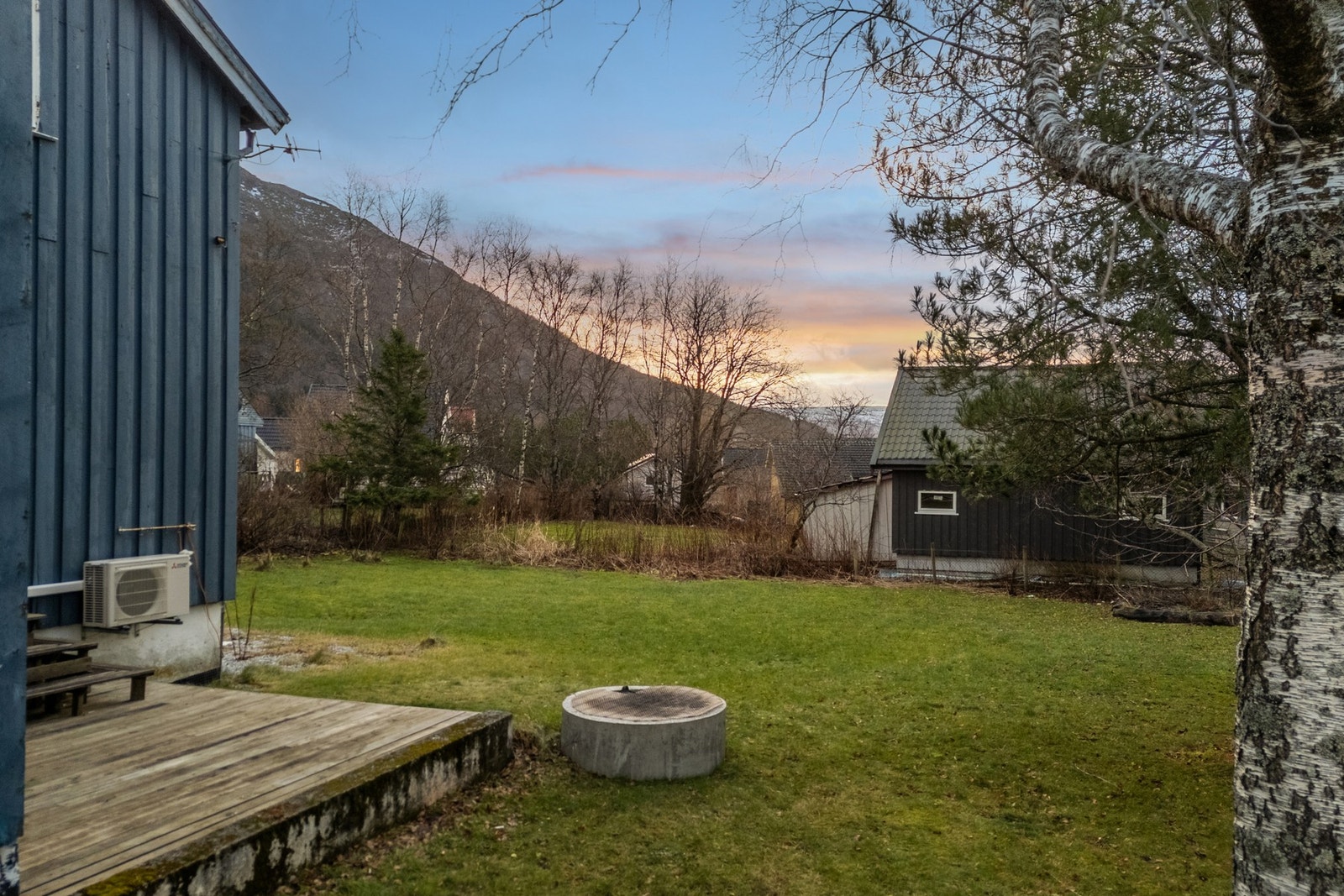 En delvis opparbeidet hage med trær og bærbusker Galleribilde