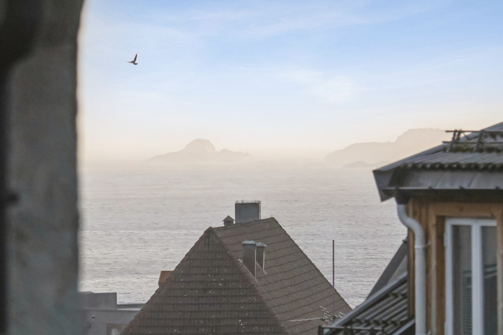 Velkommen til visning! Galleribilde