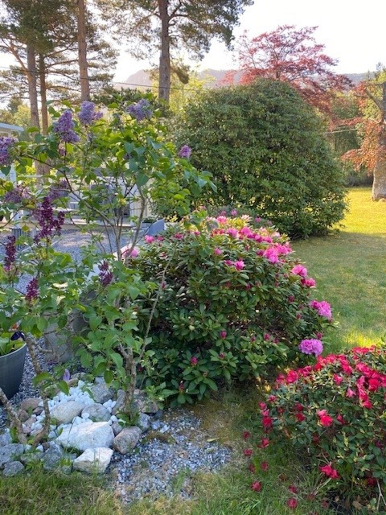 Vi avslutter med noen fine sommerbilder tatt av selger. Galleribilde