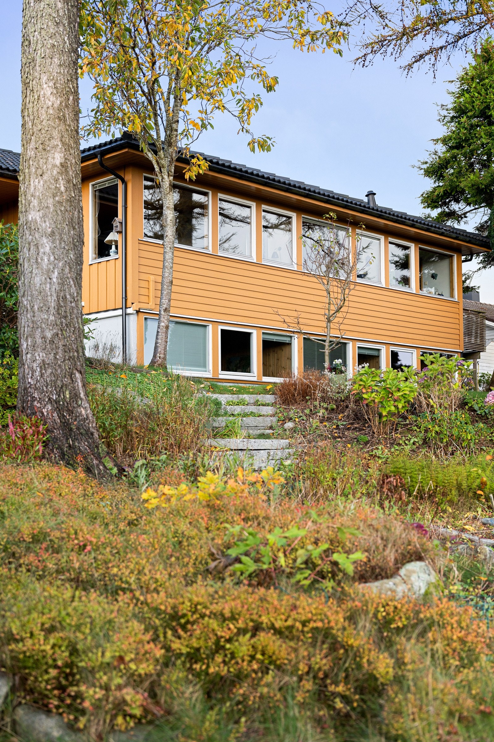 Tomten er anlagt med plenarealer, beplantede soner og flere uteplasser som gir gode muligheter for opphold gjennom hele dagen. Galleribilde