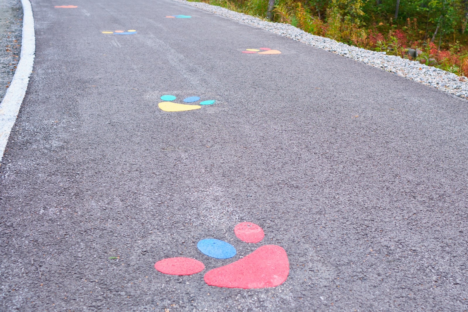 Flott gangvei fra sentrum til Breidablikk Foto: Anders Medhus /Hallingcast) Galleribilde