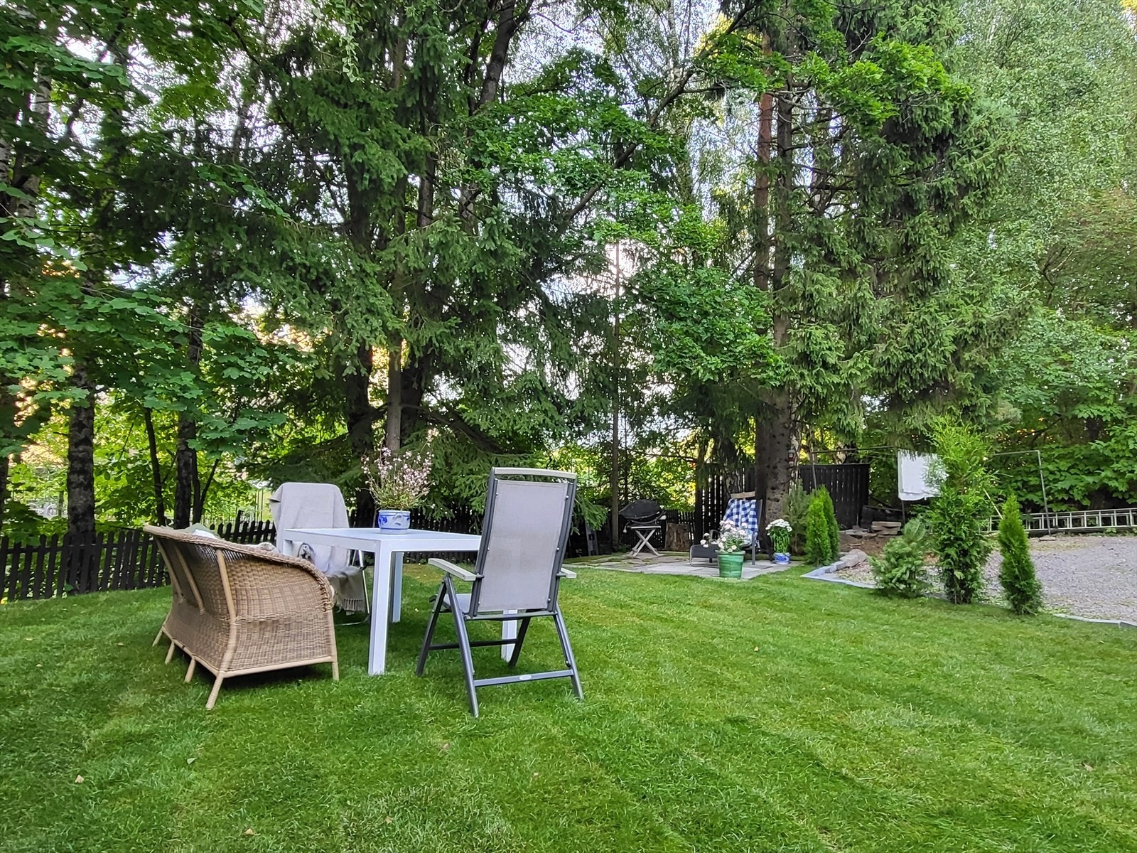 Sommer i hagen Galleribilde