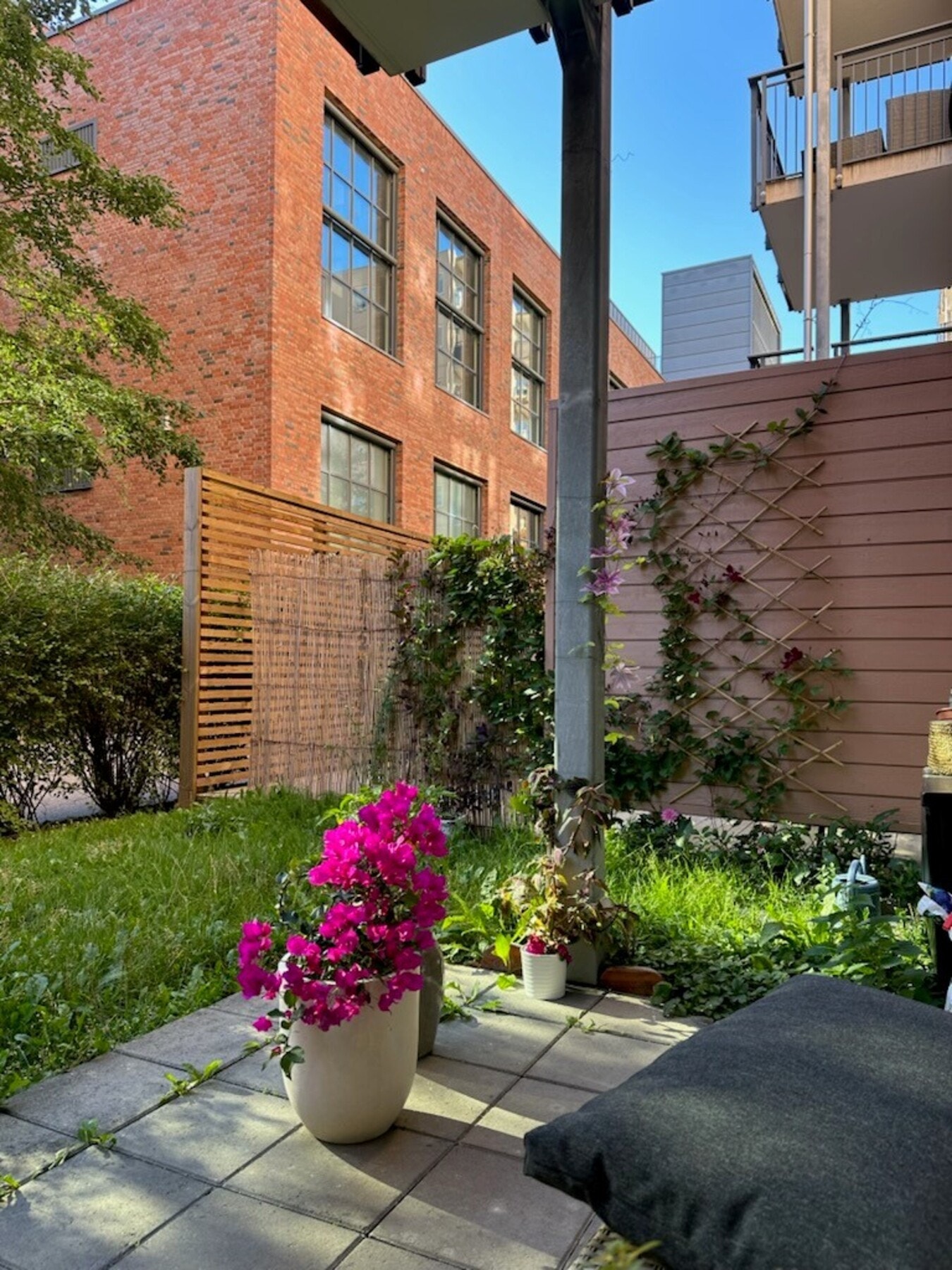 Selgers private sommerbilde. Galleribilde