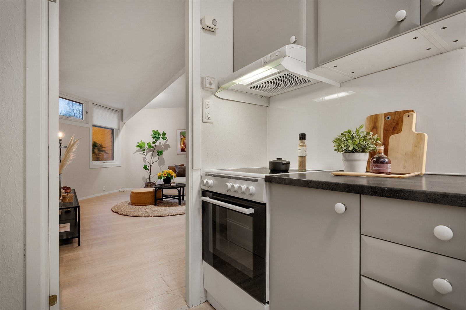 Åpen forbindelse til stuen gjennom døråpningen Galleribilde