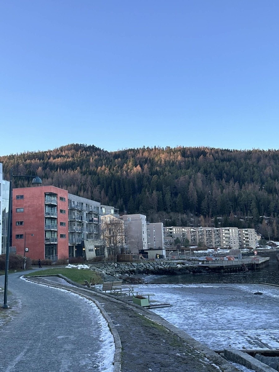 Mulighet for bading og soling om sommeren. Galleribilde