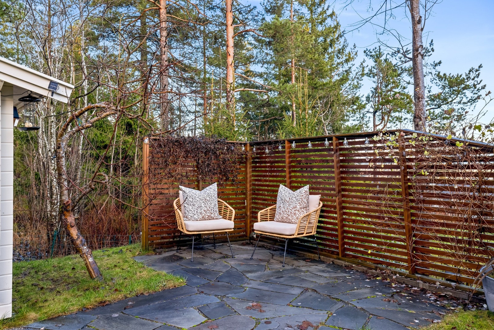 Koselig sone i hagen Galleribilde