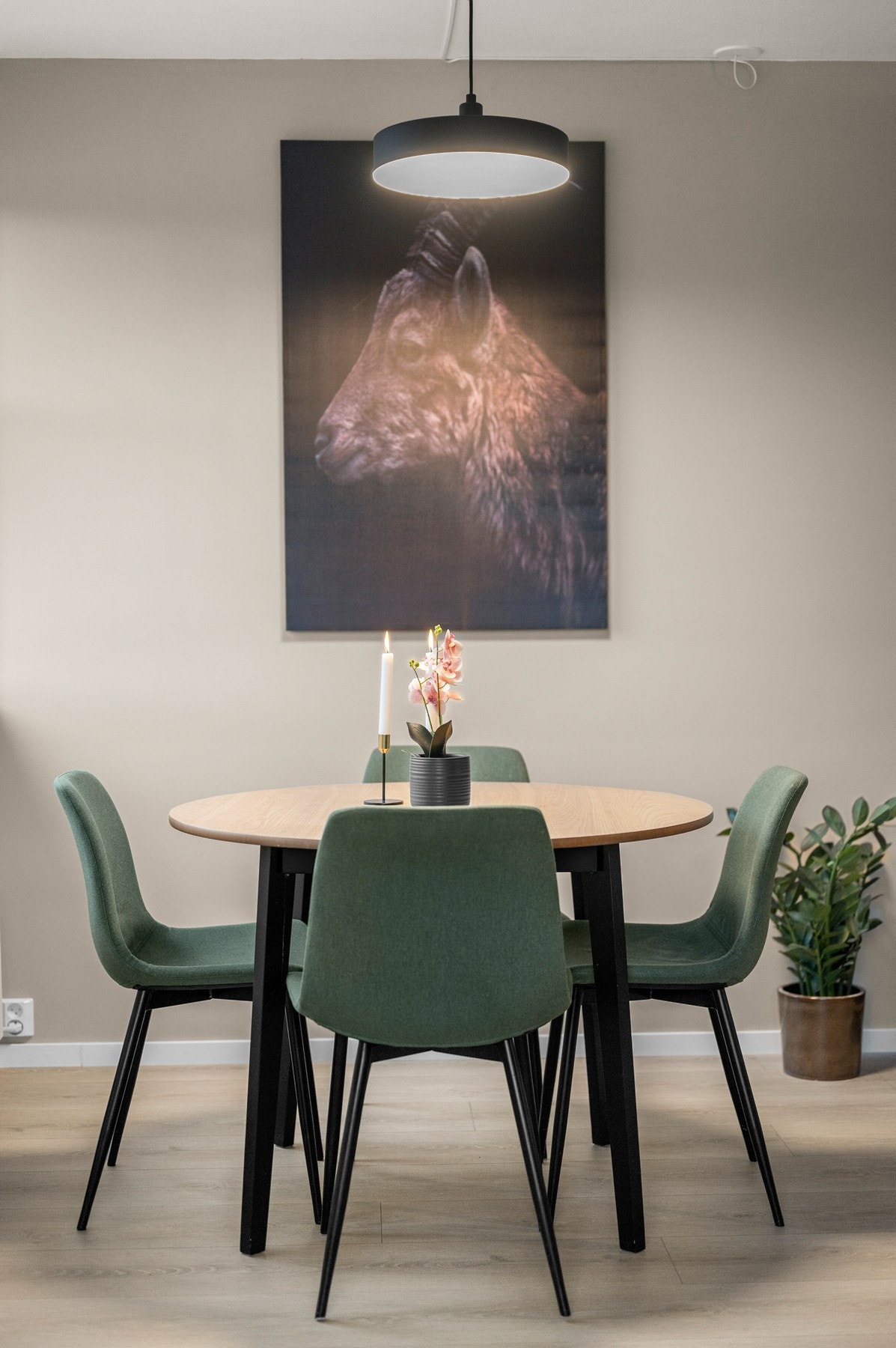 Velkommen til hyggelig visning Galleribilde