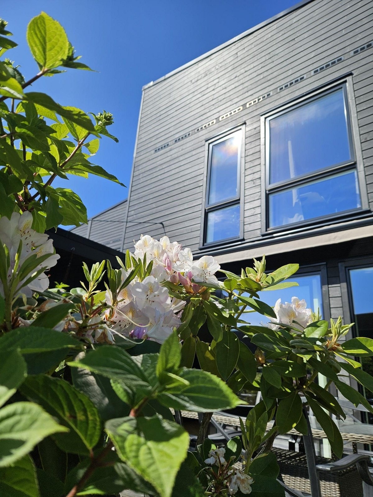 Selgers private bilde Galleribilde