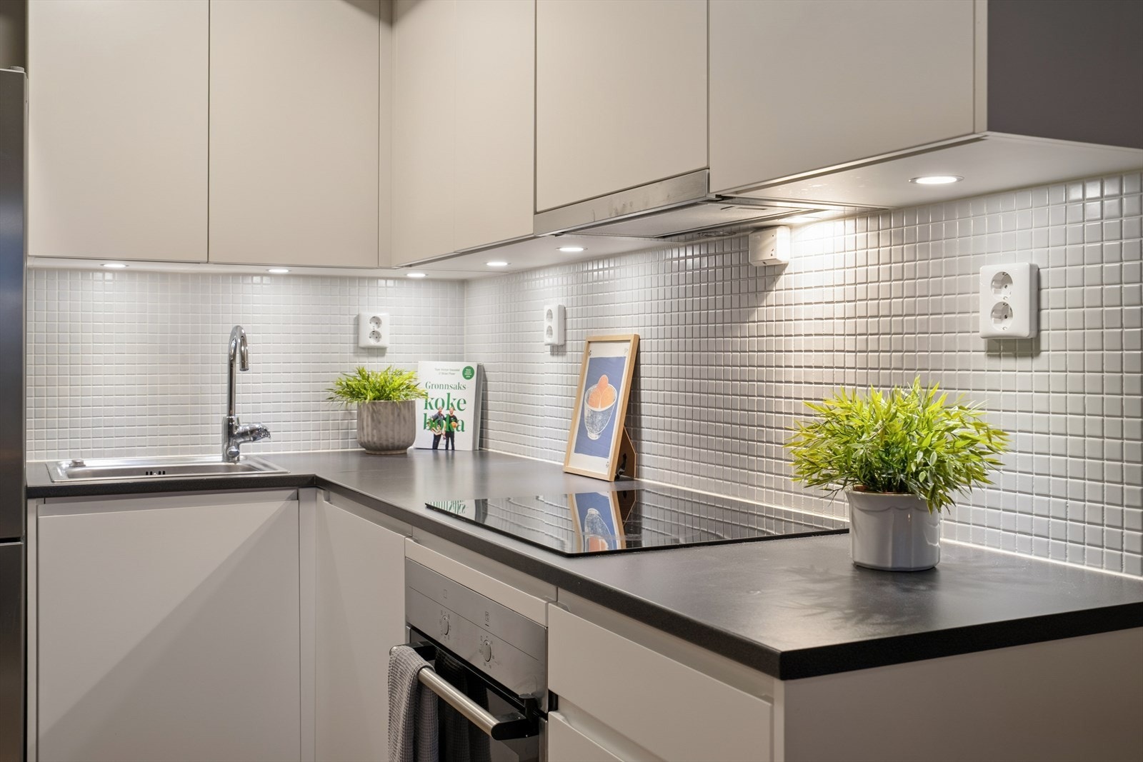 Av tekniske løsninger er det komfyrvakt, Waterguard og kjøkkenventilator med mekanisk avtrekk Galleribilde