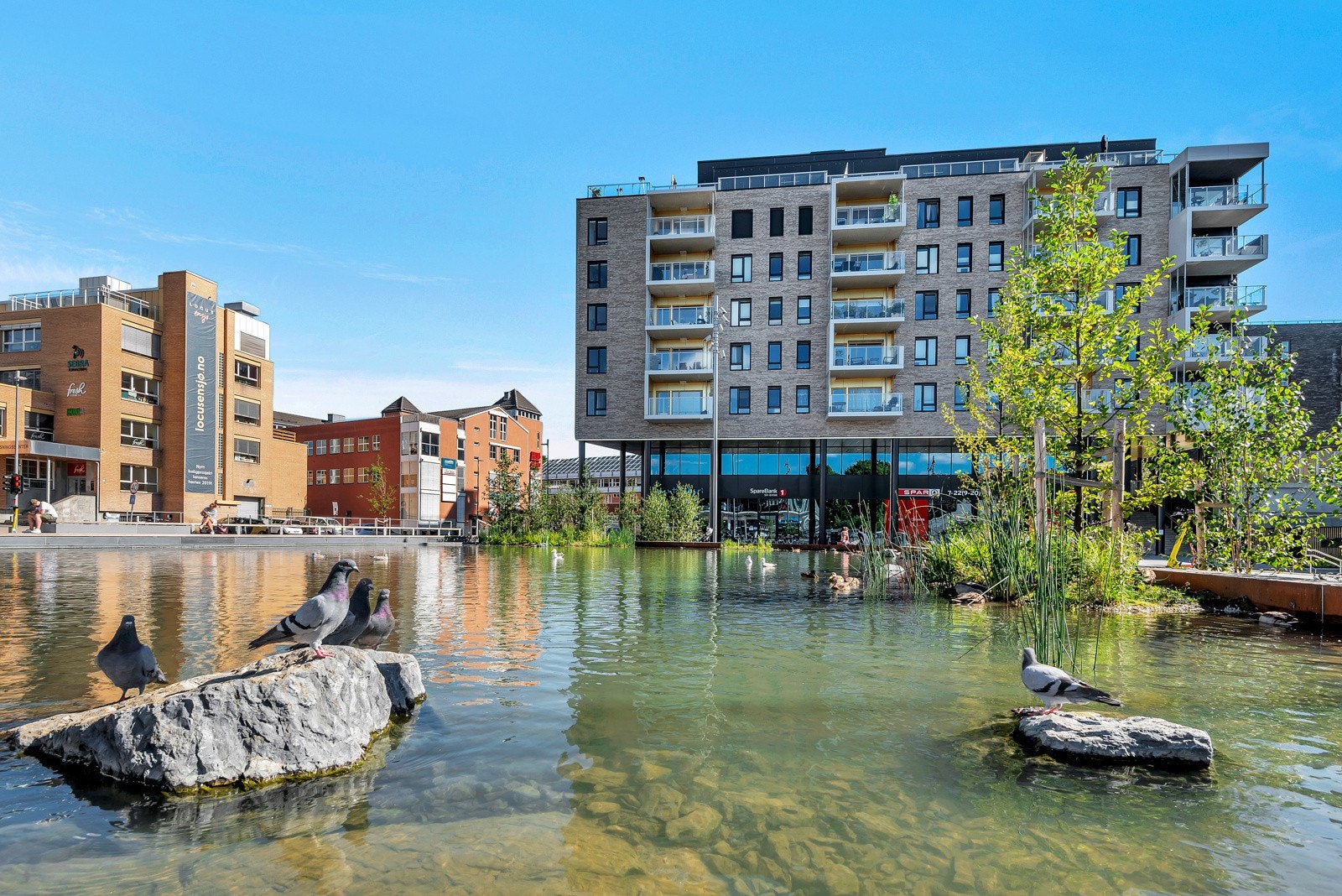 Nærområdet er betydelig oppgradert de seneste årene. Den flotte andedammen på Ensjø er en del av det nylig utviklede grøntområdet. Galleribilde
