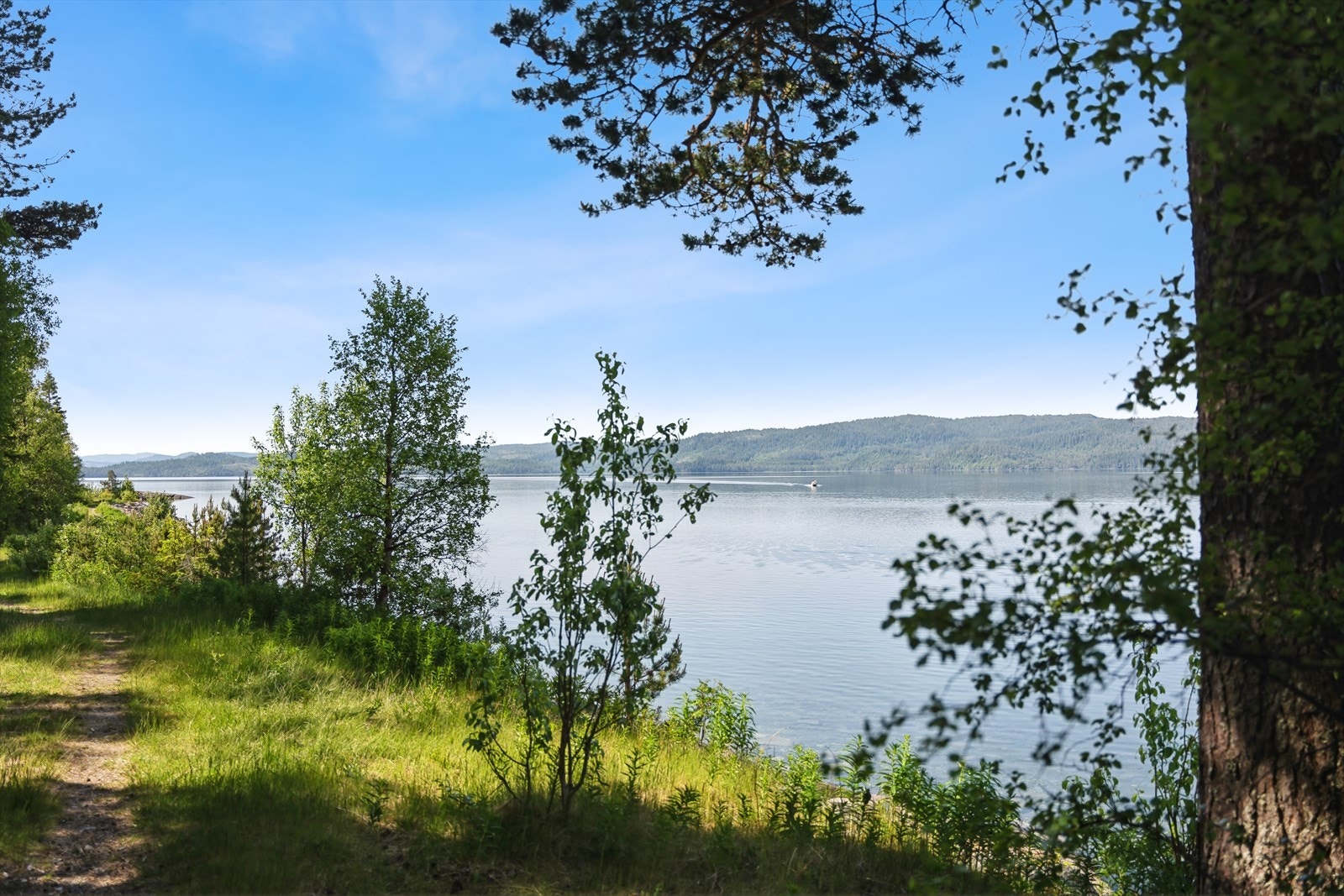 Nydelige turmuligheter både om sommeren og på vinteren. Galleribilde