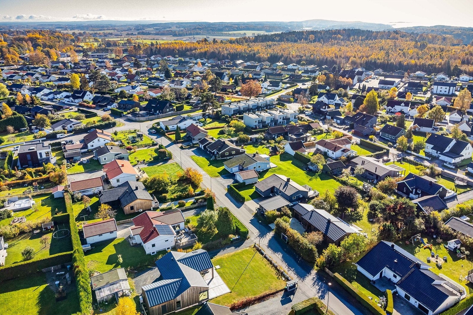 Fra Ekholt kan du gå rett ut i det fagre Ryggelandet med utallige stier og turmuligheter. Galleribilde