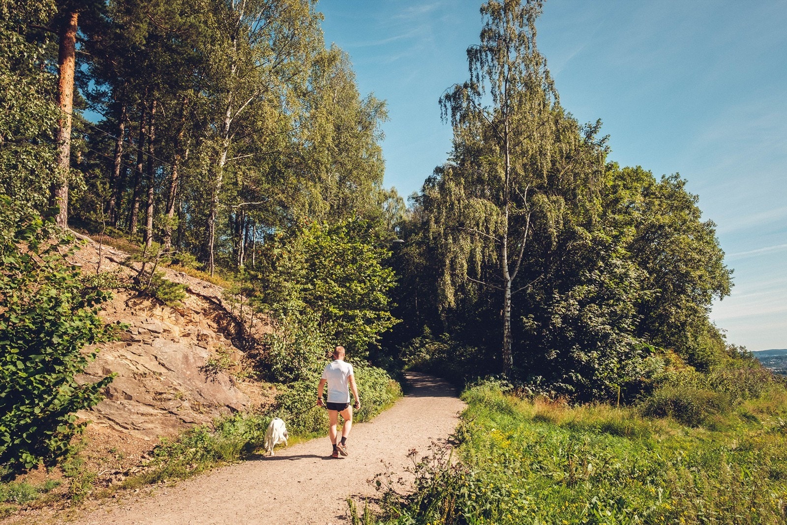 Et par bussholdeplasser opp Kjelsåsveien starter tursti v/Akebakkeskogen opp til Grefsenkollen og Trollvann Galleribilde